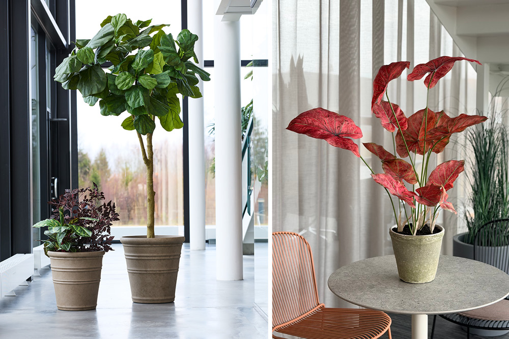 Nyheter januari 20262.jpg